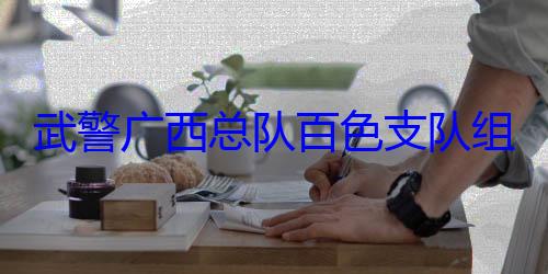 组织官兵开展军事体育队百色支队运动会武警广西总