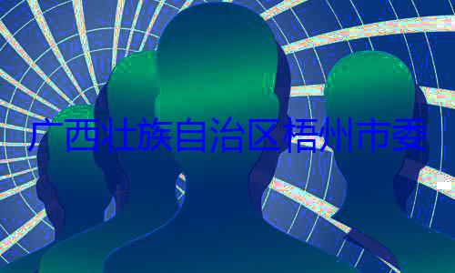 被查广西壮族自治区梧州市委副书记市长李振品